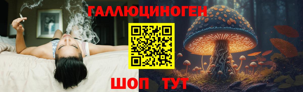 Галлюциногенные грибы мицелий Кохма